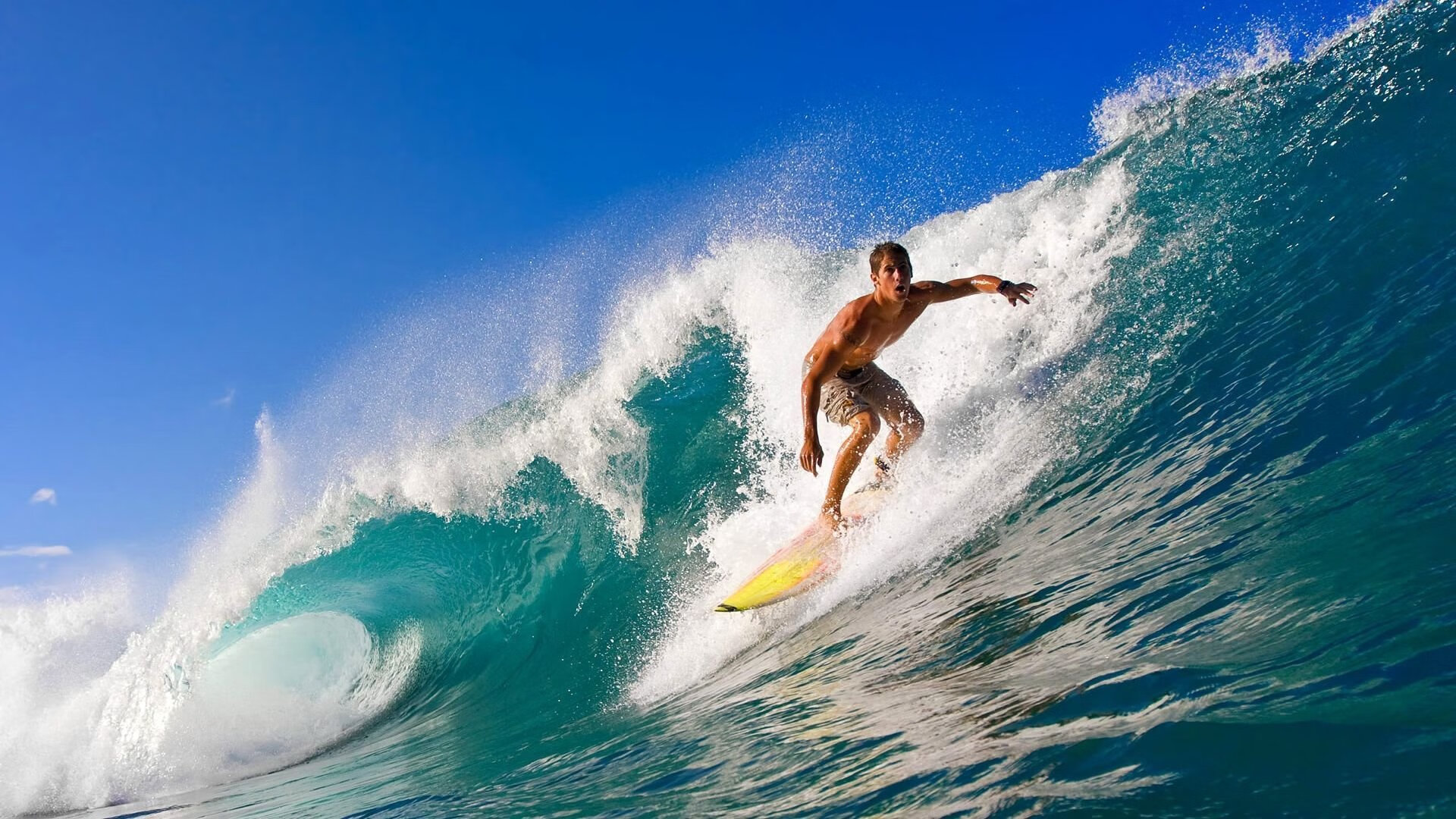 美国马术协会与美洲马术协会合作,举办国际马术交流活动,促进文化互鉴。